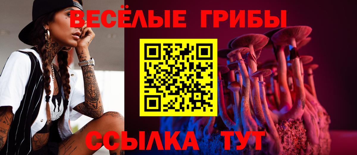 Псилоцибиновые грибы MAGIC MUSHROOMS Долгопрудный